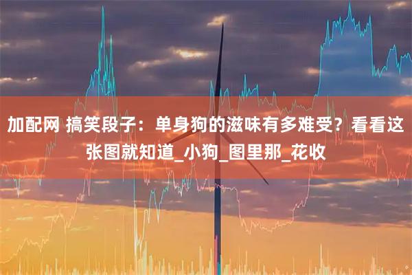 加配网 搞笑段子：单身狗的滋味有多难受？看看这张图就知道_小狗_图里那_花收