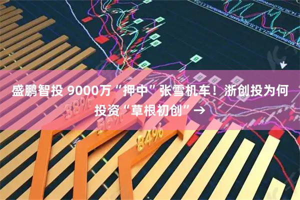 盛鹏智投 9000万“押中”张雪机车！浙创投为何投资“草根初创”→